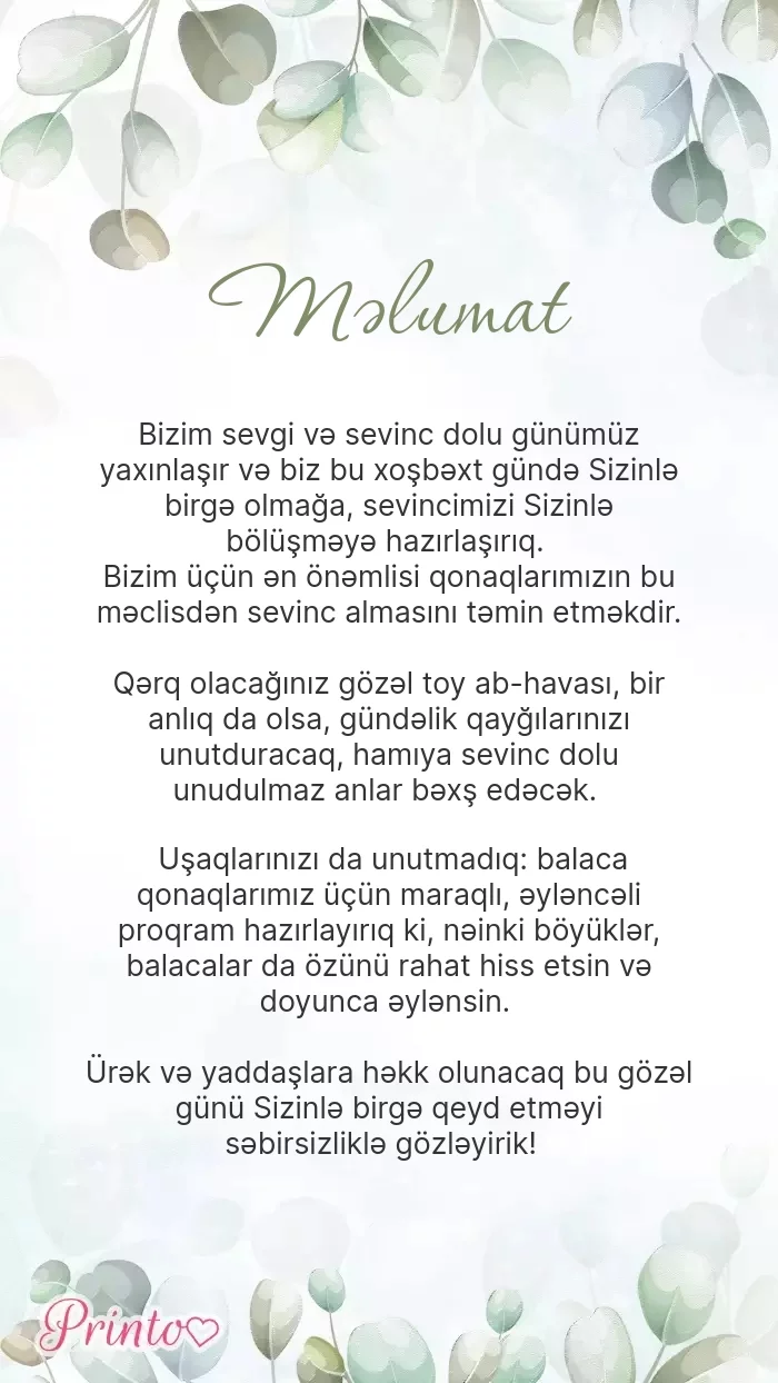 Toy haqqında məlumat - Şablon 1