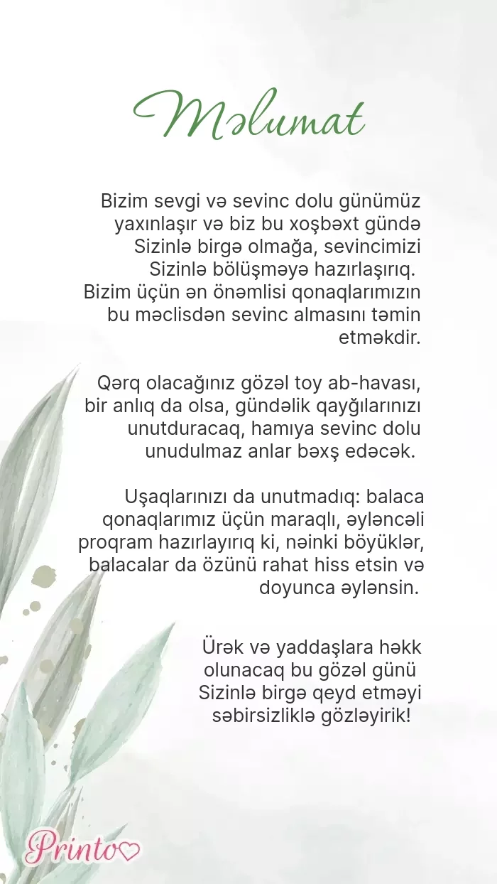 Toy haqqında məlumat - Şablon 1