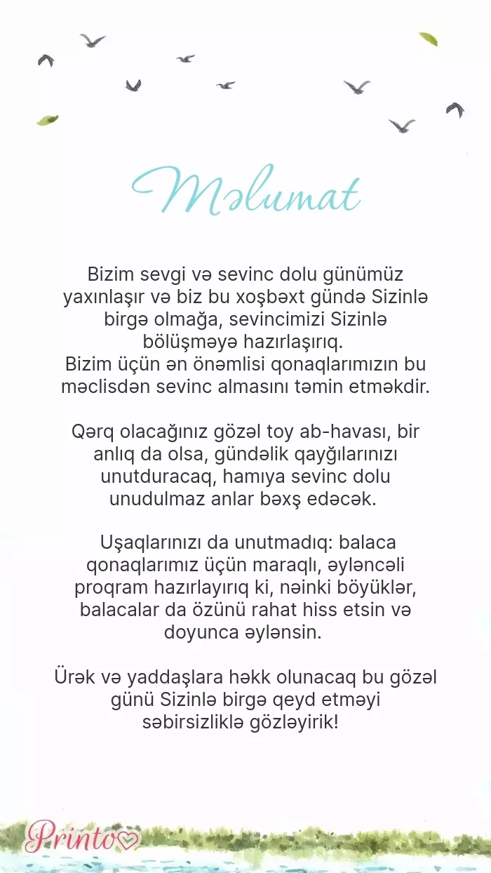 Toy haqqında məlumat - Şablon 1