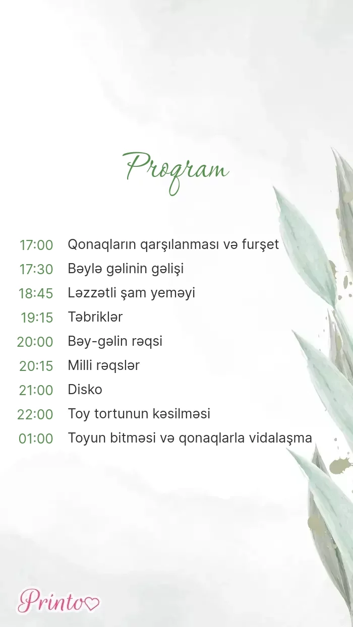 Toy proqramı - Şablon 1