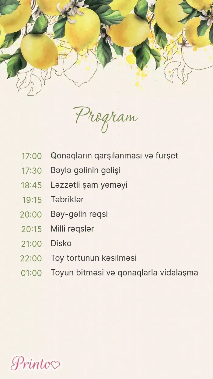 Toy proqramı - Şablon 1