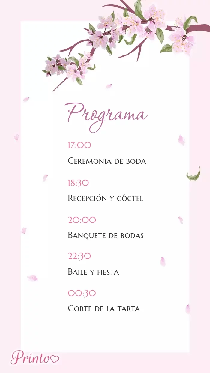 Programa de la boda - Boceto 1