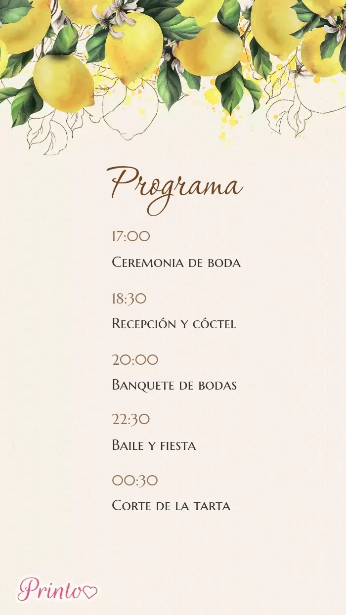 Programa de la boda - Boceto 1