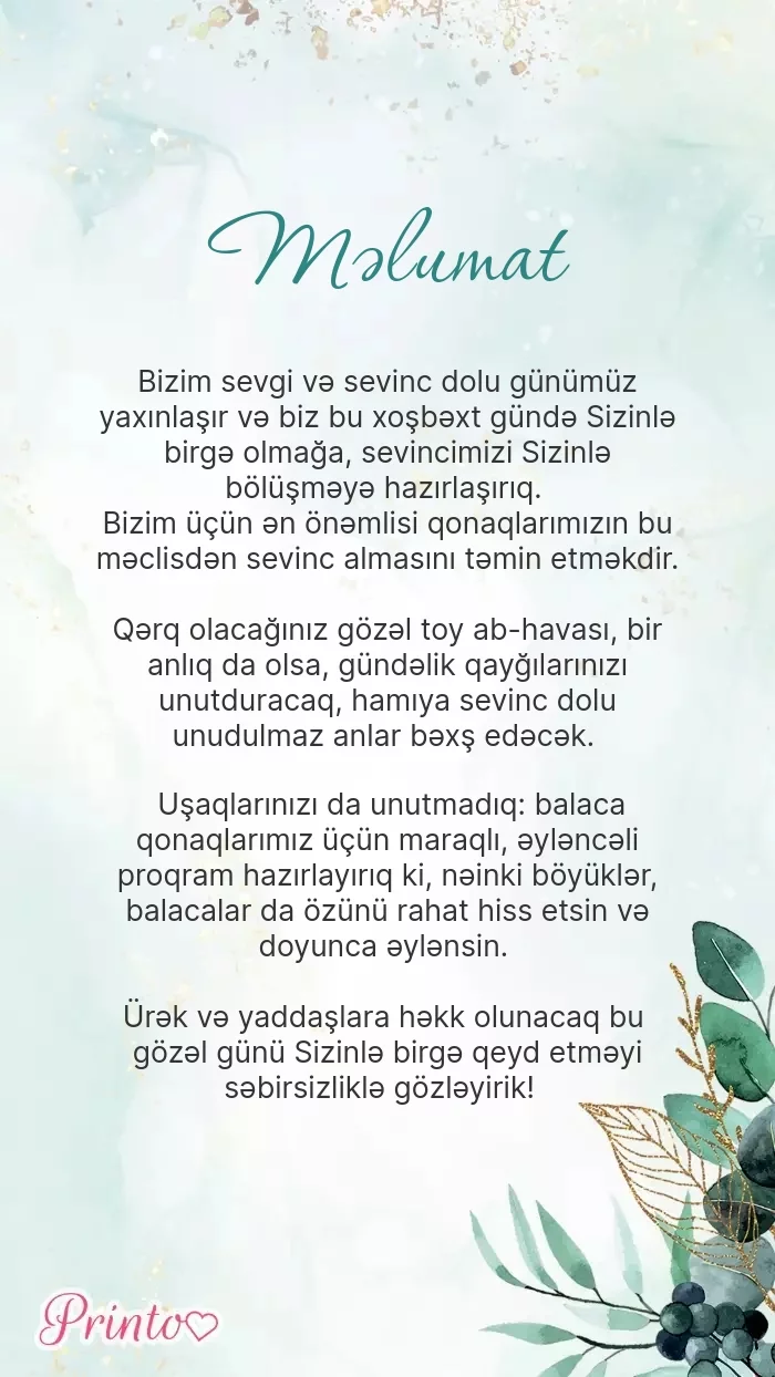 Toy haqqında məlumat - Şablon 1