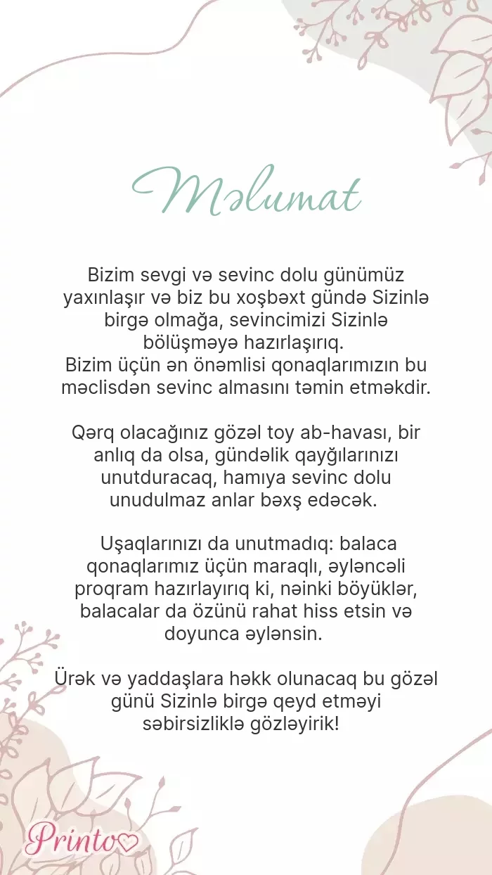 Toy haqqında məlumat - Şablon 1